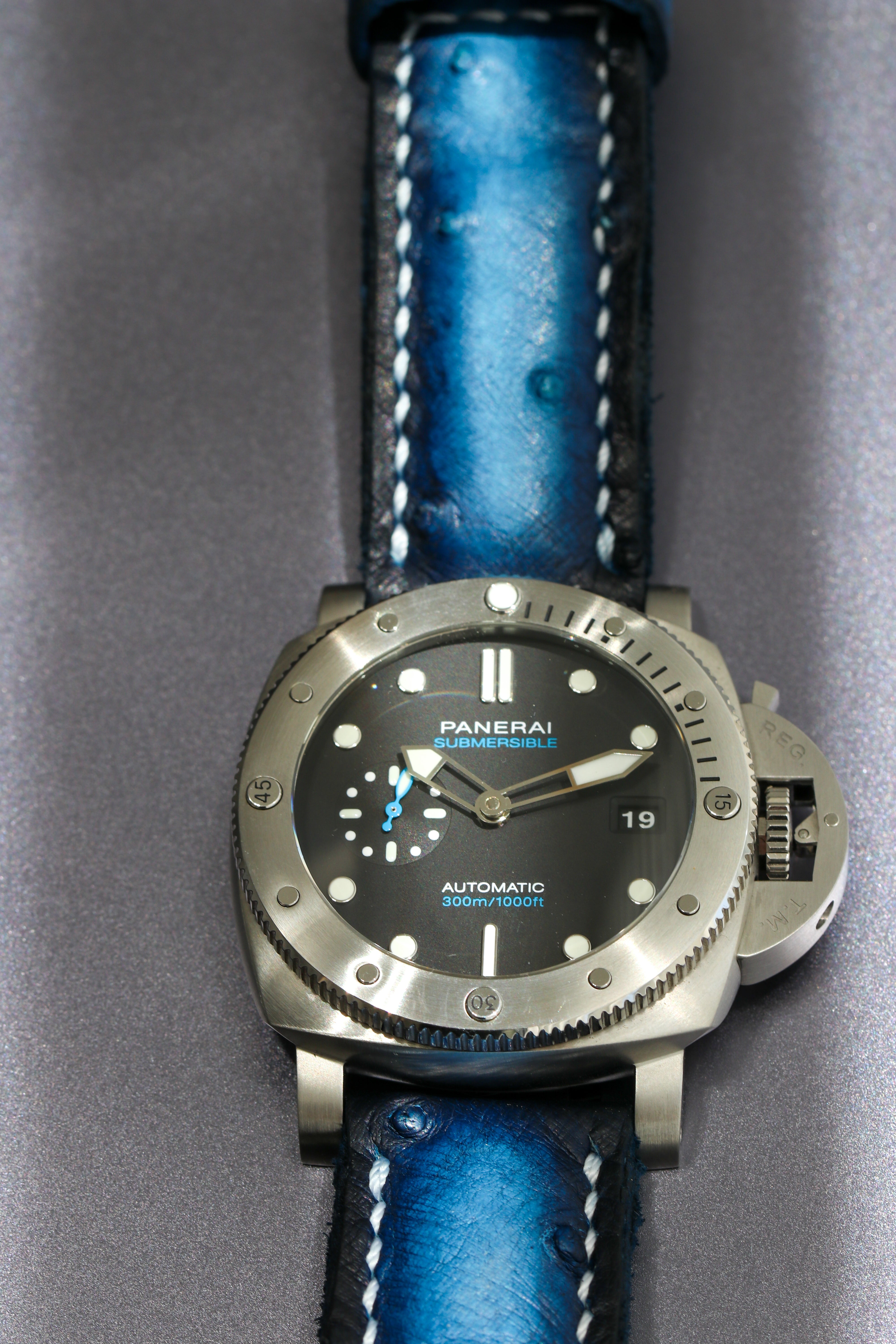 PATINA OSTRICH-BLUE 02