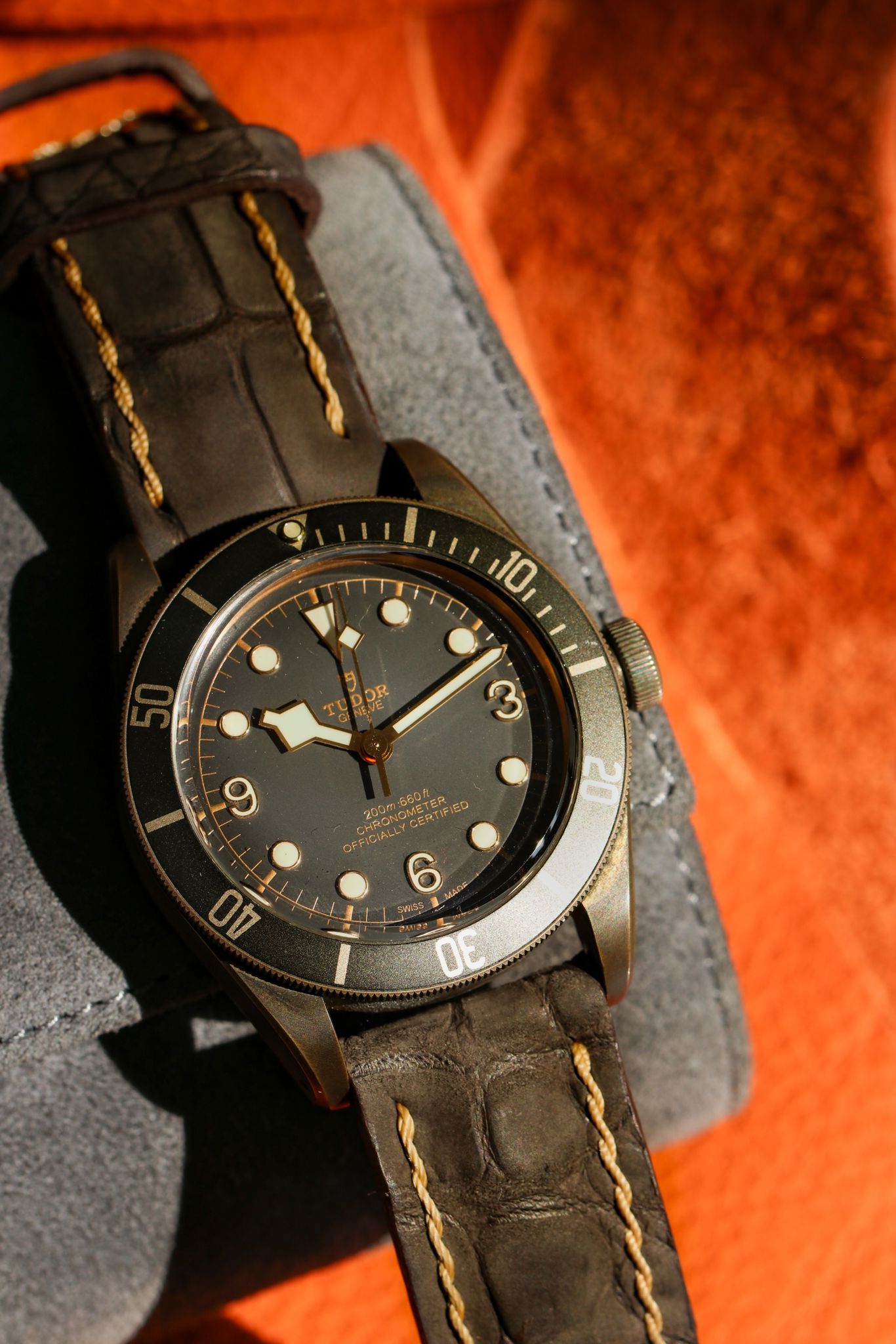 BROWN JULES VERNE ALLIGATOR 02