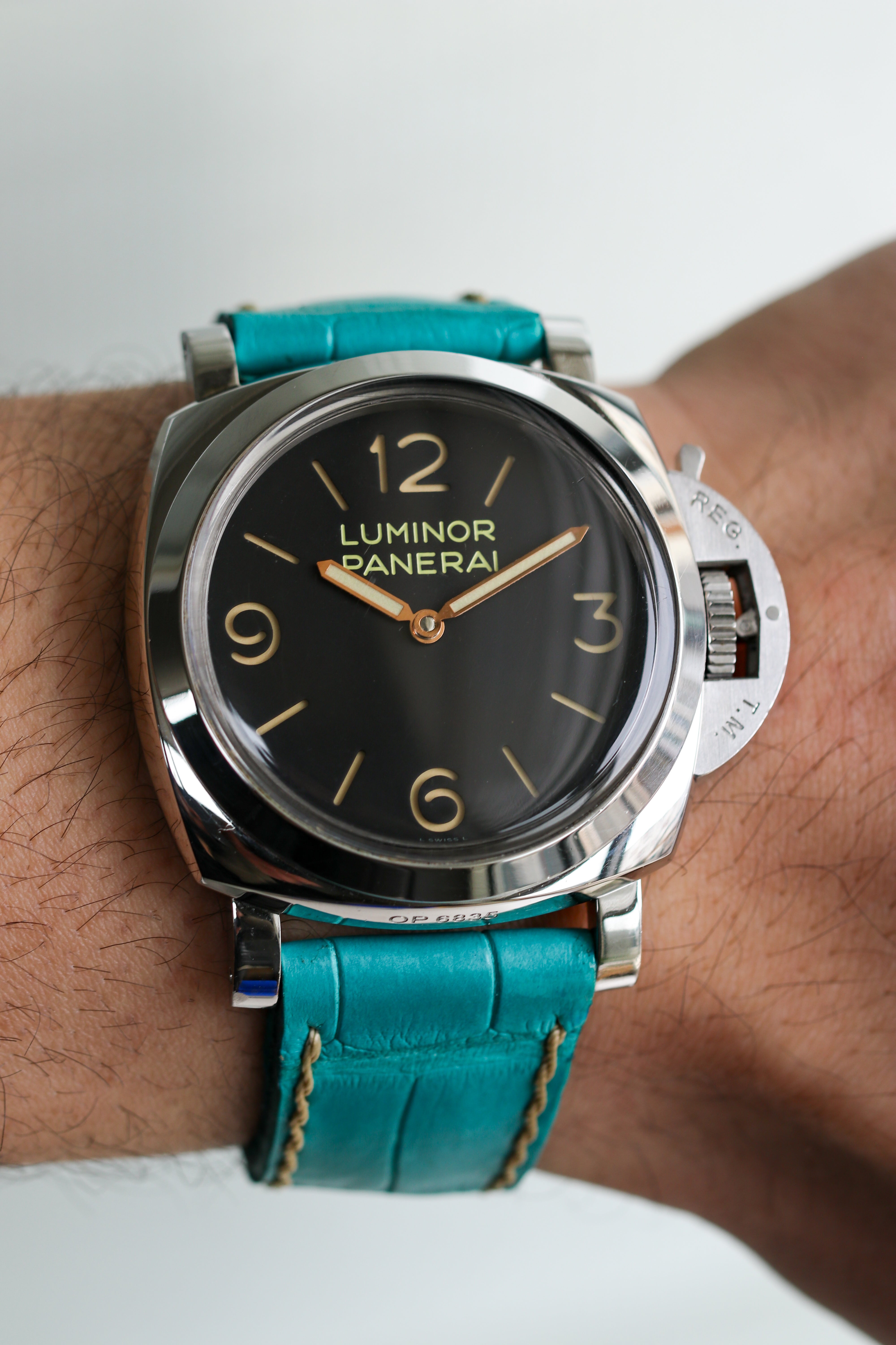 TIFFANY BLUE ALLIGATOR
