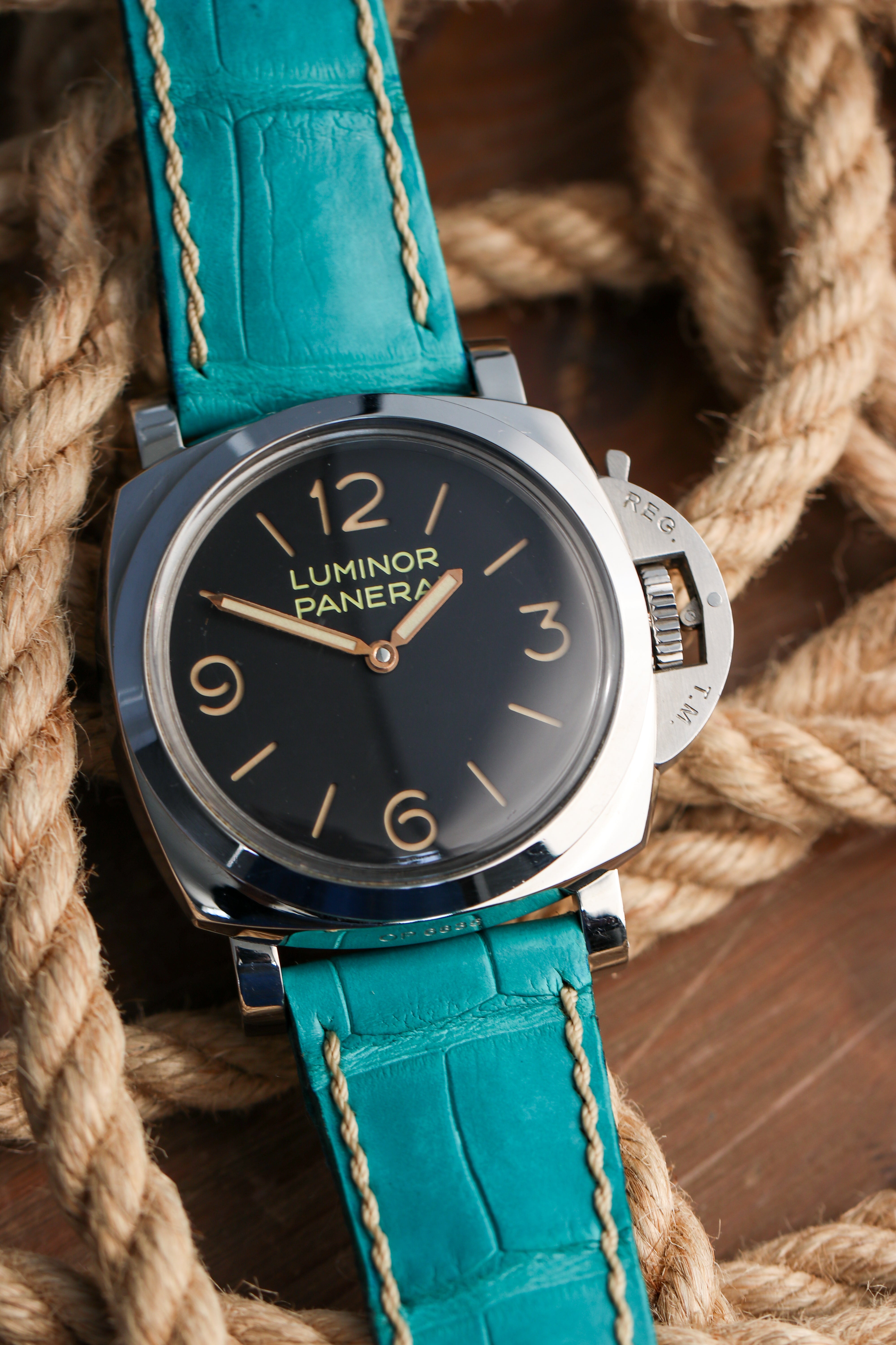 TIFFANY BLUE ALLIGATOR