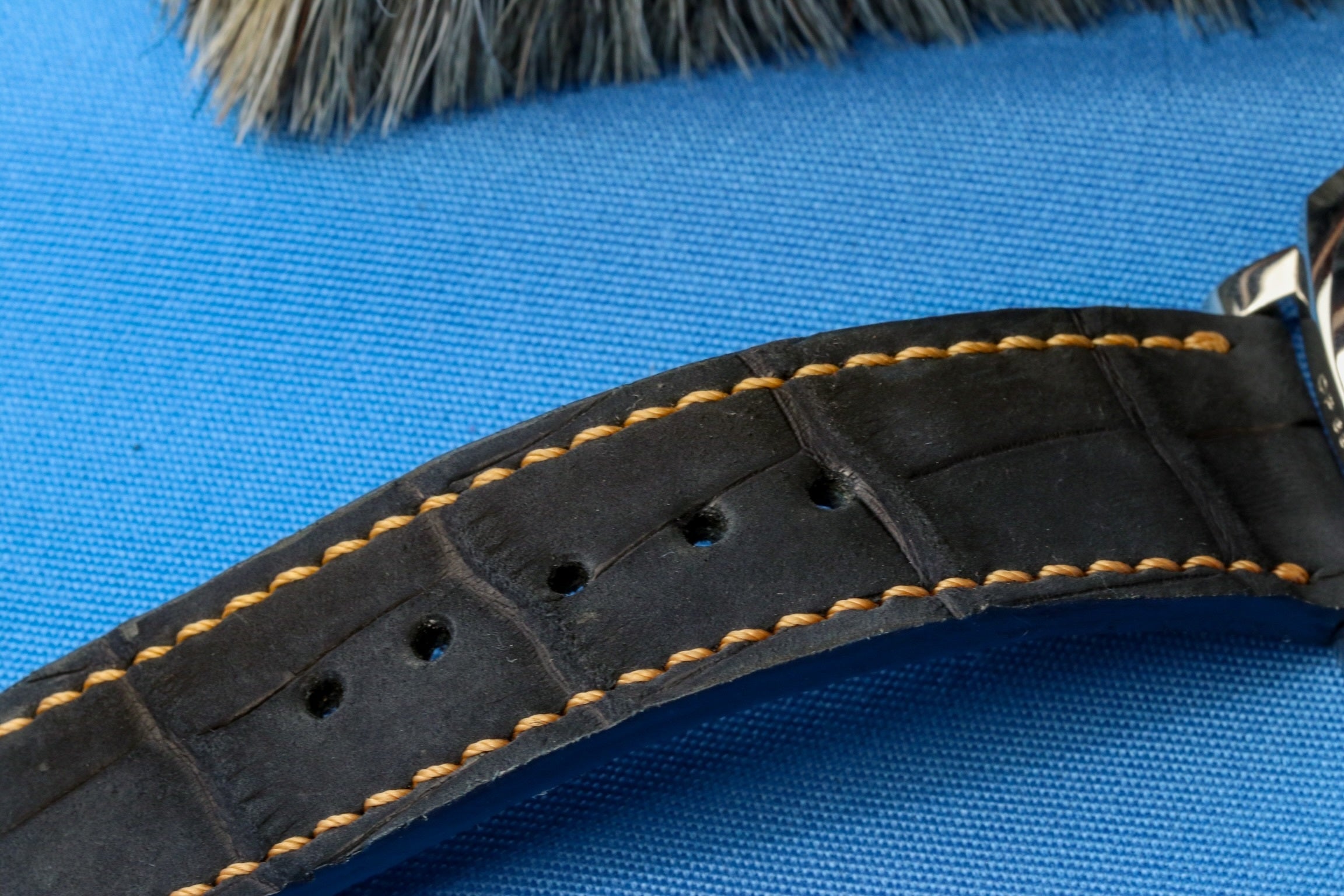 NAVY BLUE JULES VERNE ALLIGATOR