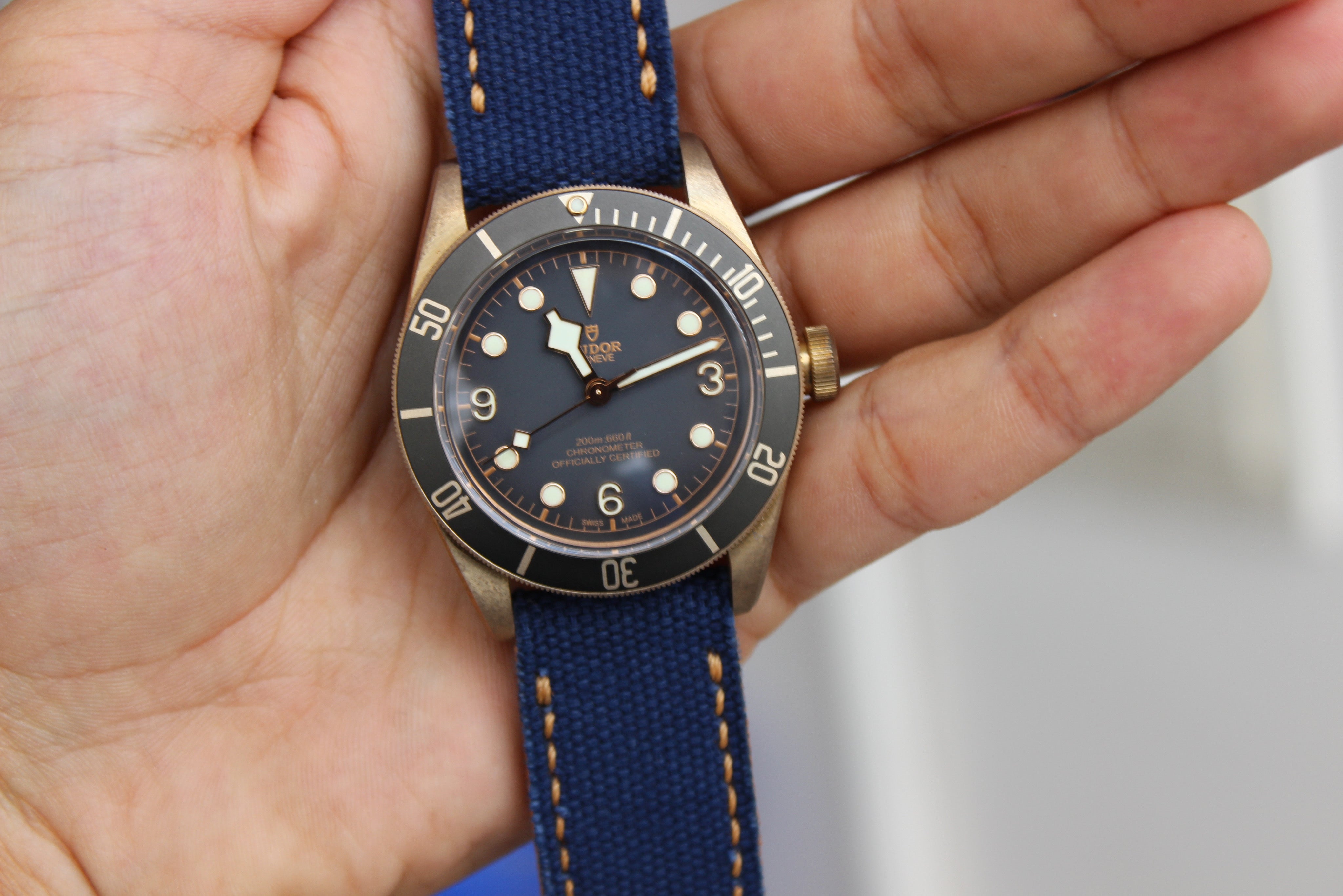 NAVY BLUE CANVAS